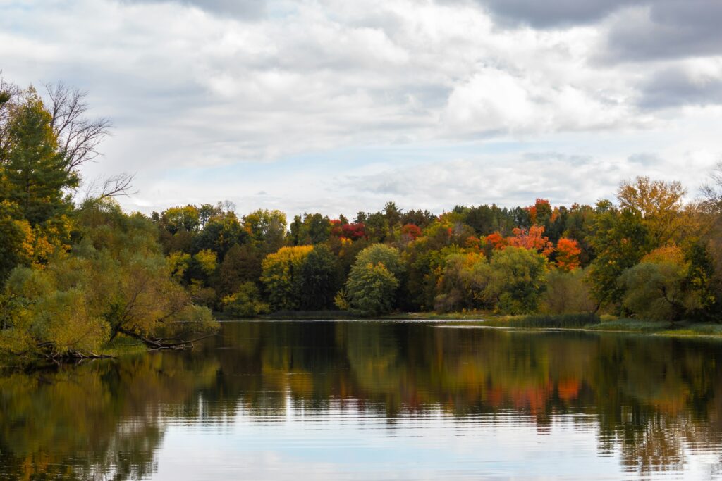 fall color on river