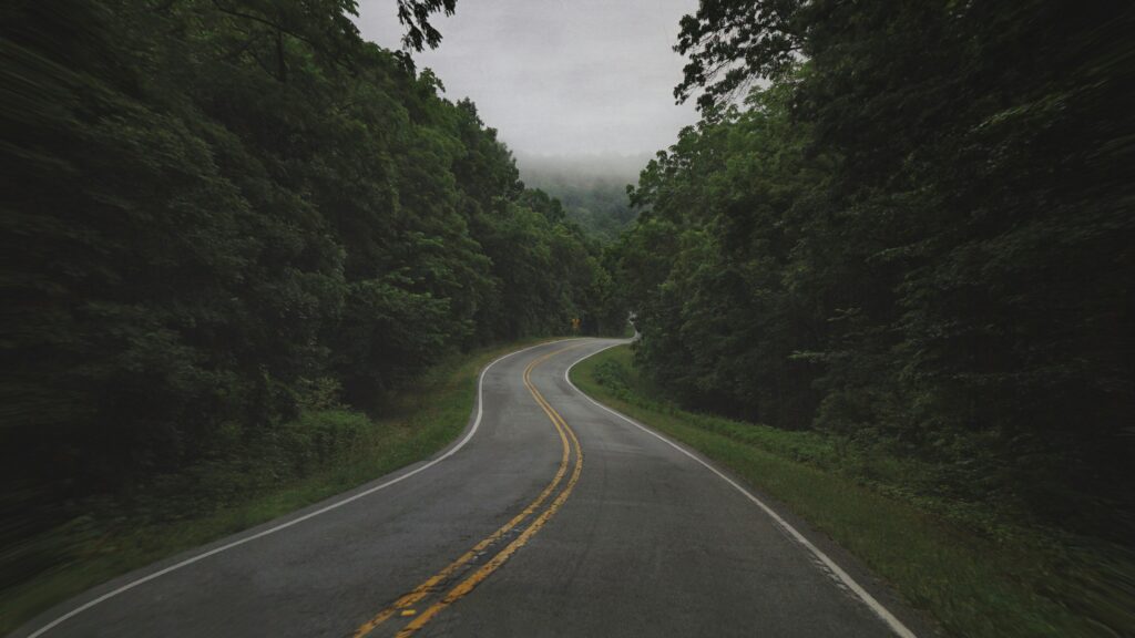 road running through misty green forest